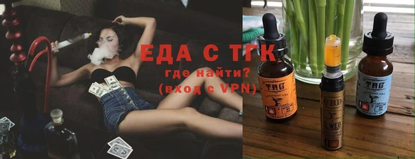 индика Абаза