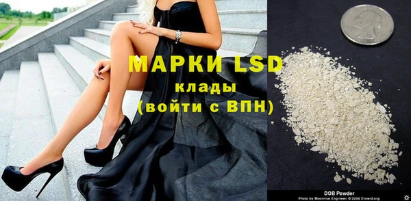 индика Абаза