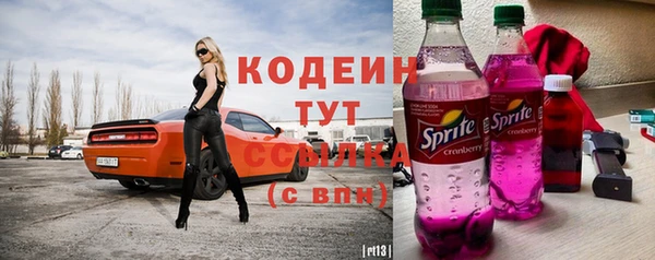 индика Абаза