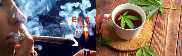 индика Абаза